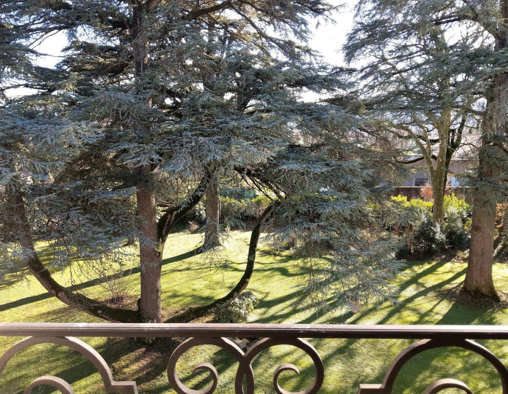 Maison D'Hotes Le Parc Labruguière Habitación foto